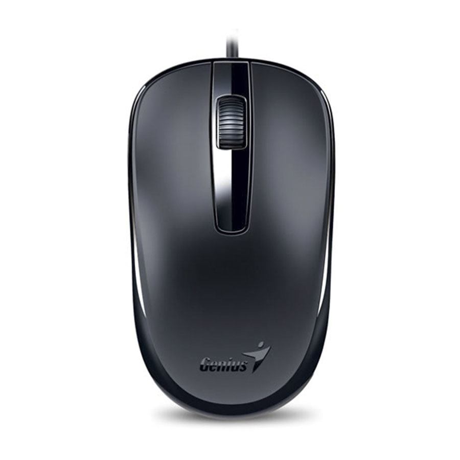 Mouse Genius DX-120 USB Negro