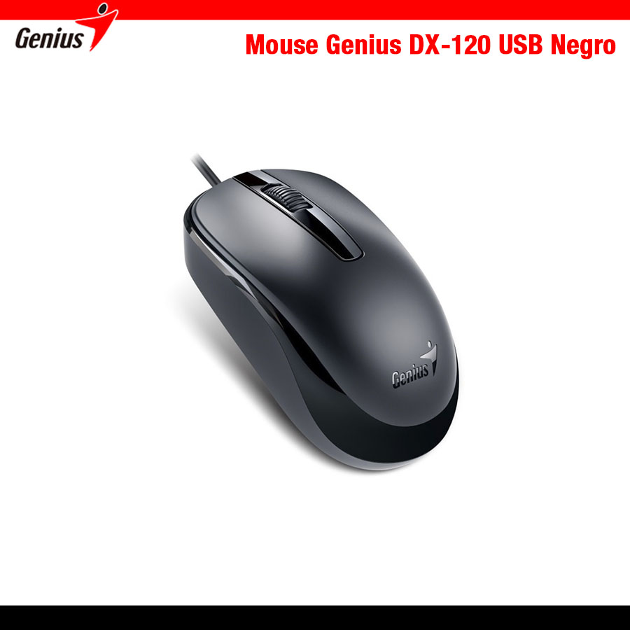 Mouse Genius DX-120 USB Negro