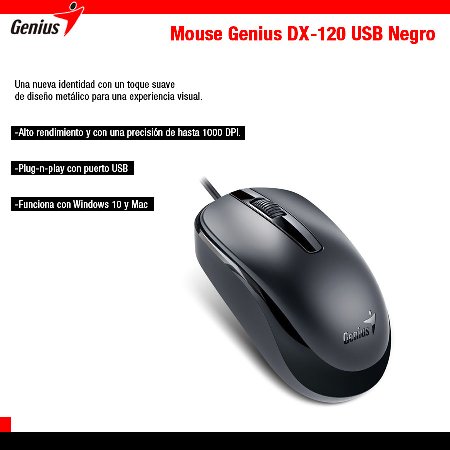 Mouse Genius DX-120 USB Negro