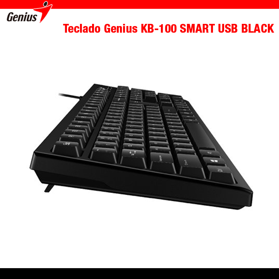 Teclado Genius (KB-100) Usb Negro