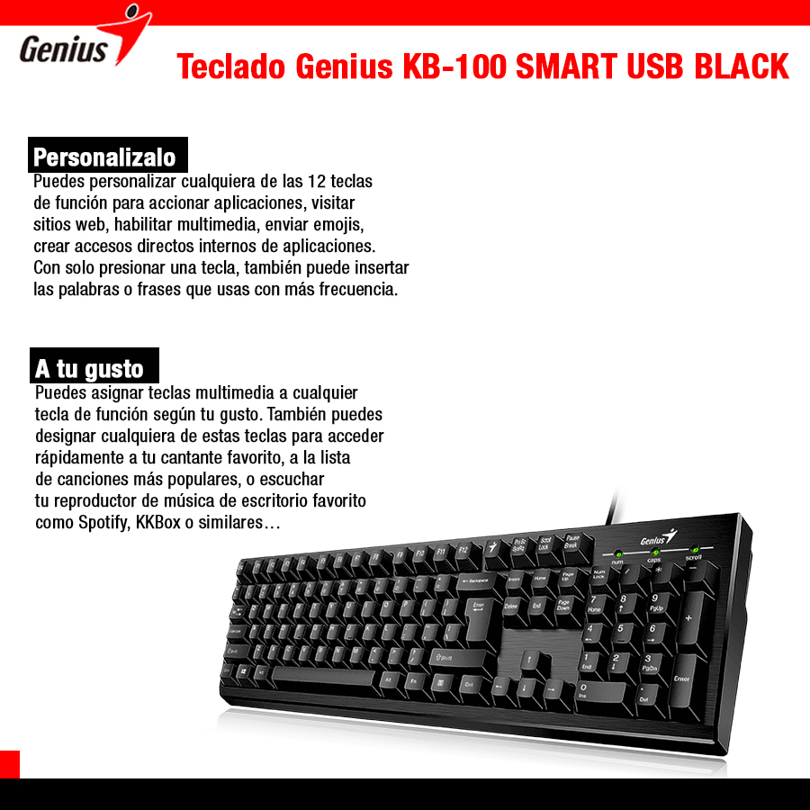 Teclado Genius (KB-100) Usb Negro