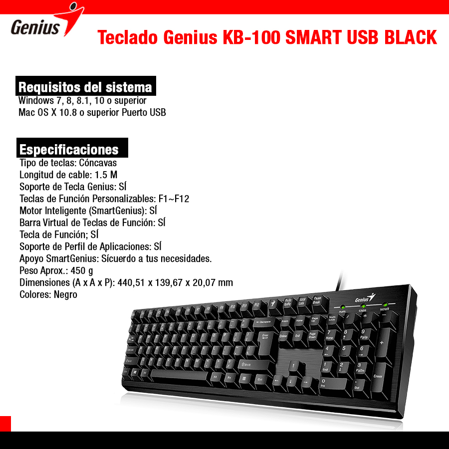 Teclado Genius (KB-100) Usb Negro