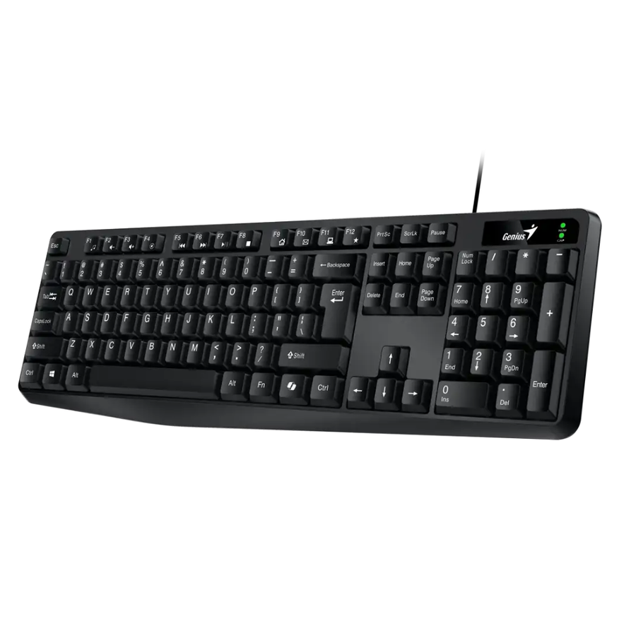 Teclado Genius Usb Kb-117 Ai Black Sp
